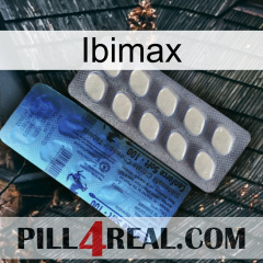 Ibimax 34